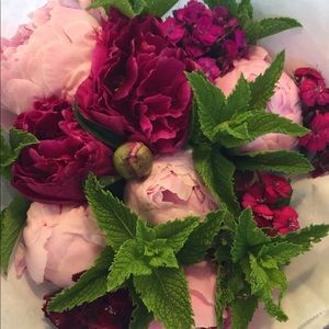 Meet your Posher, Mari